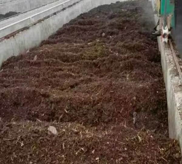 冬天大棚蔬菜换茬施用有机肥 复合肥设备肥料.jpg